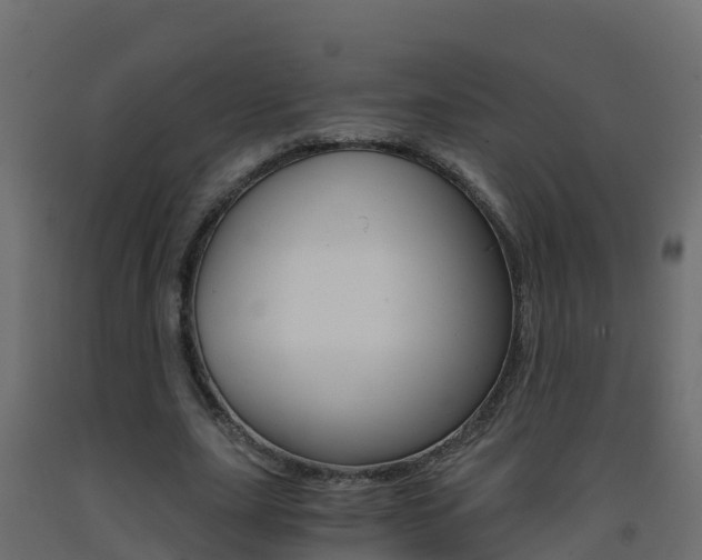X0000093410631200710120916