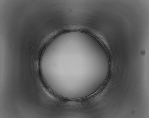 X0000093410633200710120916