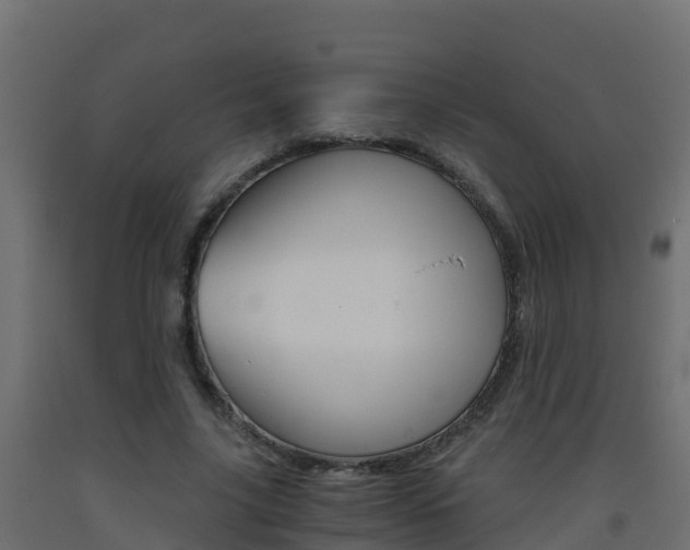 X0000093410635200710120917