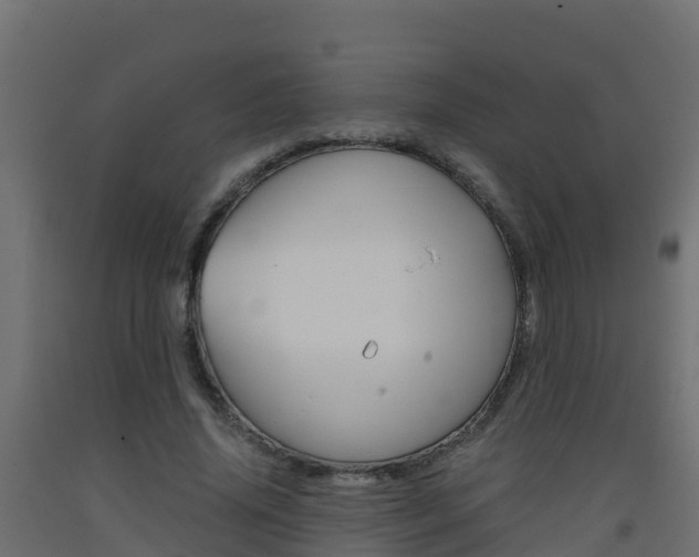 X0000093410636200710120917