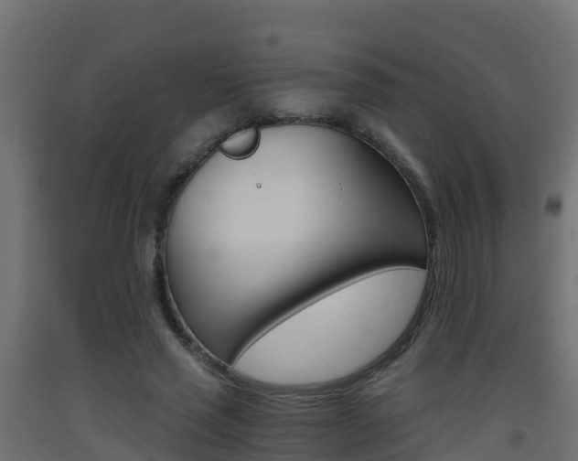 X0000093410637200710120917