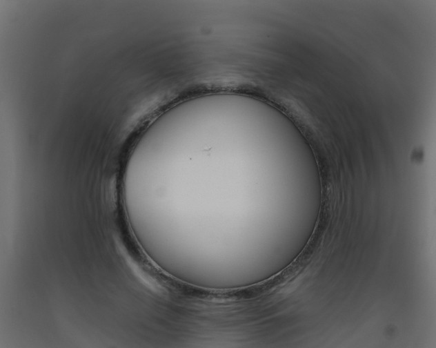 X0000093410638200710120917