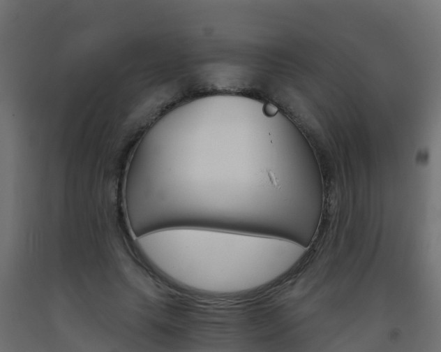 X0000093410639200710120917