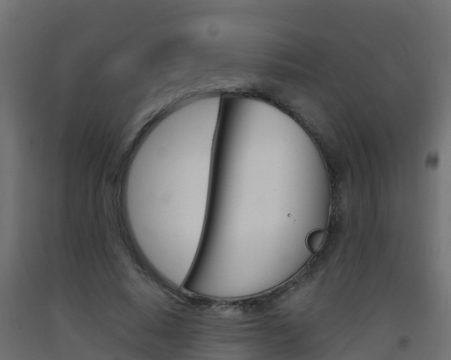 X0000093410640200710120917