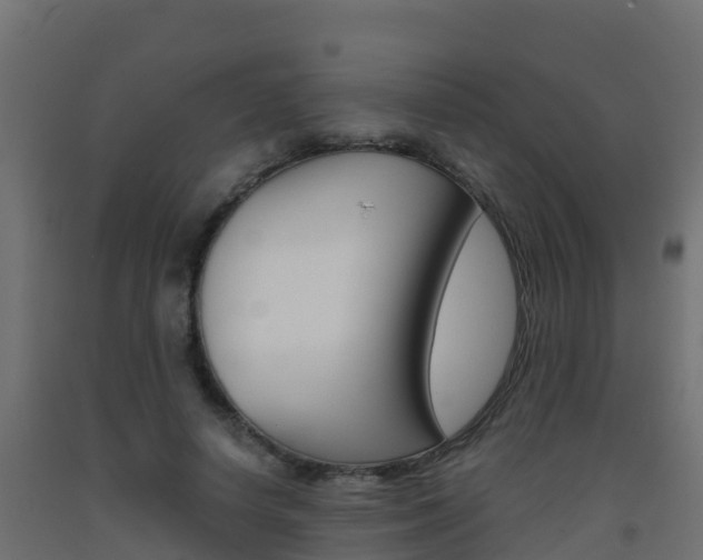 X0000093410642200710120917