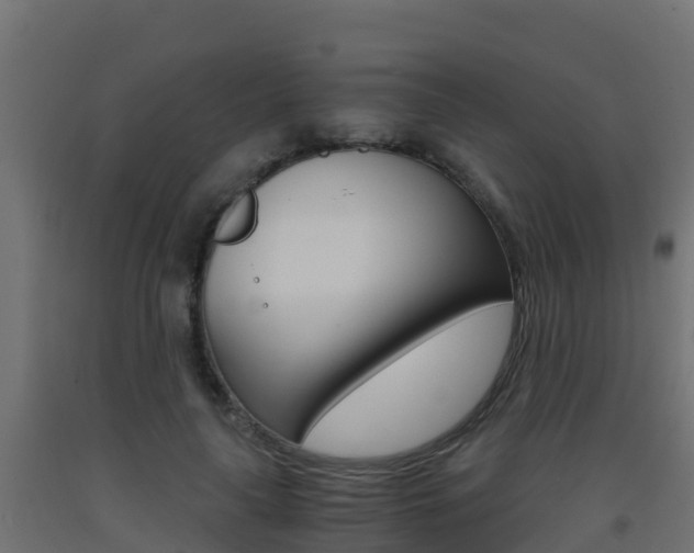 X0000093410643200710120917