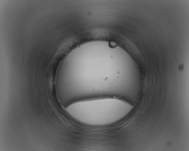 X0000093410644200710120917