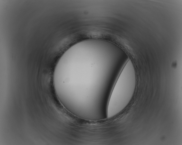 X0000093410645200710120917