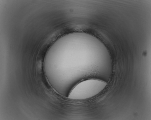 X0000093410646200710120917