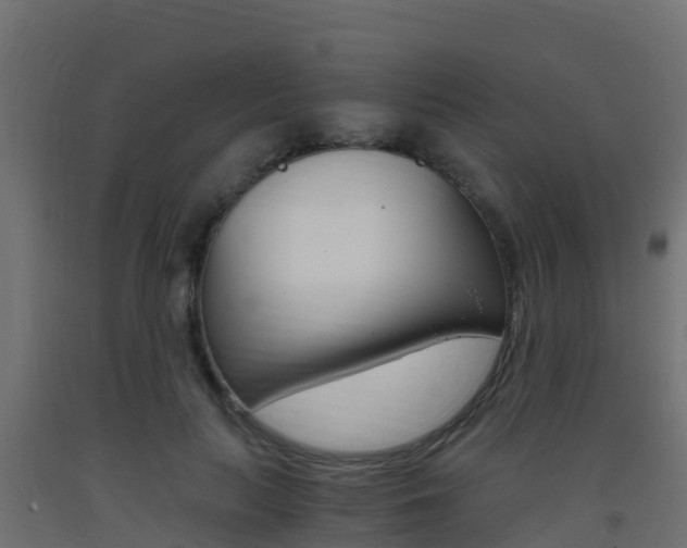 X0000093410647200710120917