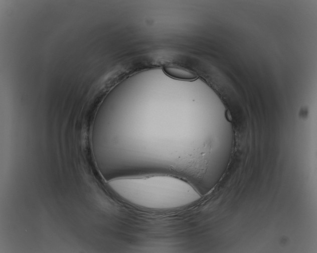 X0000093410648200710120917