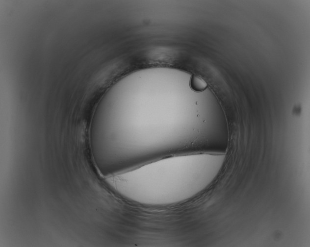X0000093410649200710120917