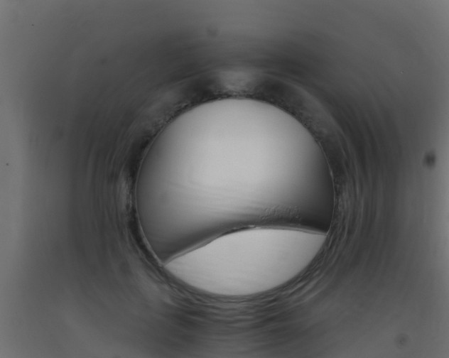 X0000093410651200710120917
