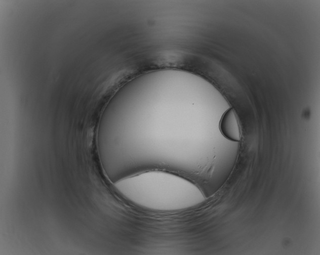 X0000093410652200710120917
