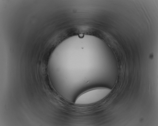 X0000093410653200710120917