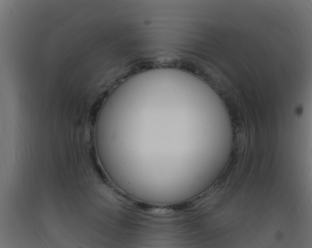 X0000093410654200710120917