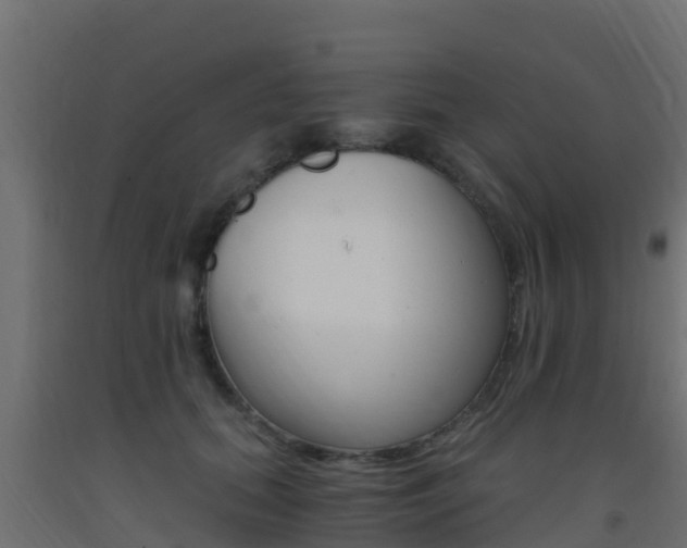 X0000093410655200710120917