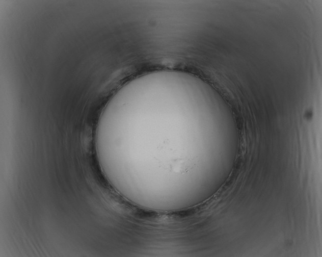 X0000093410656200710120917