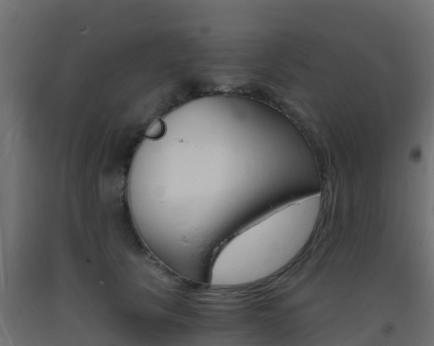 X0000093410657200710120917