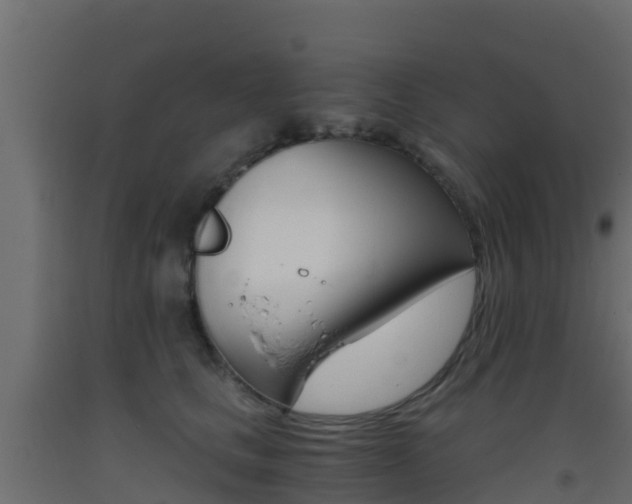 X0000093410661200710120917