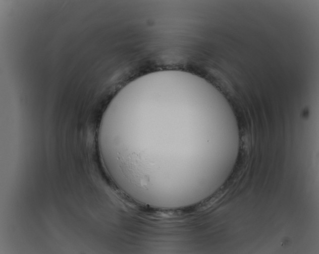 X0000093410662200710120917