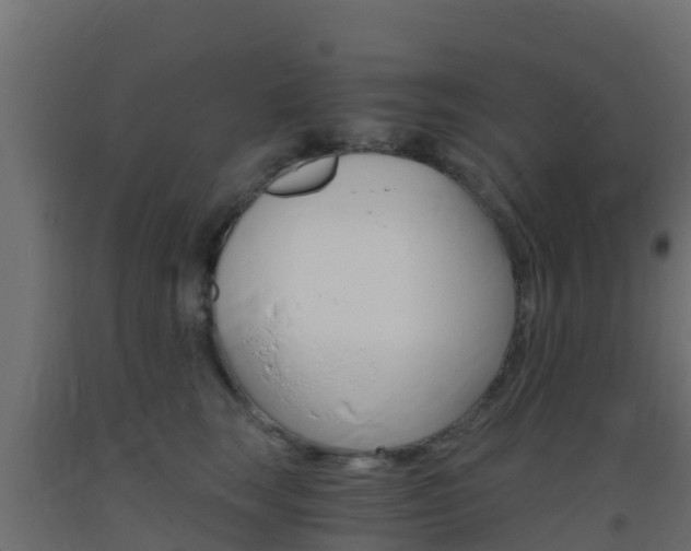 X0000093410663200710120917