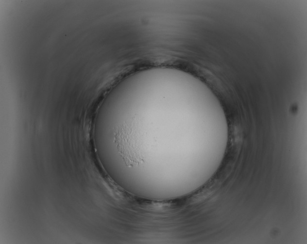 X0000093410664200710120917