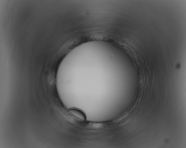 X0000093410665200710120917