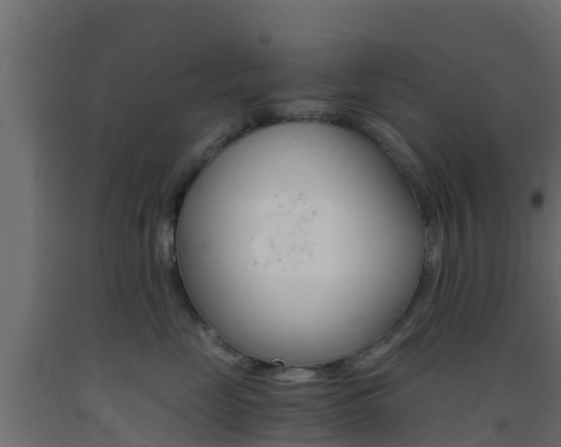 X0000093410669200710120917