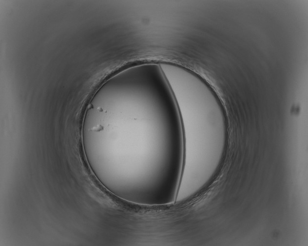 X0000093410673200710120916