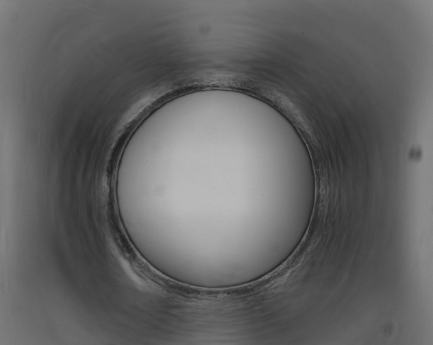 X0000093410674200710120916