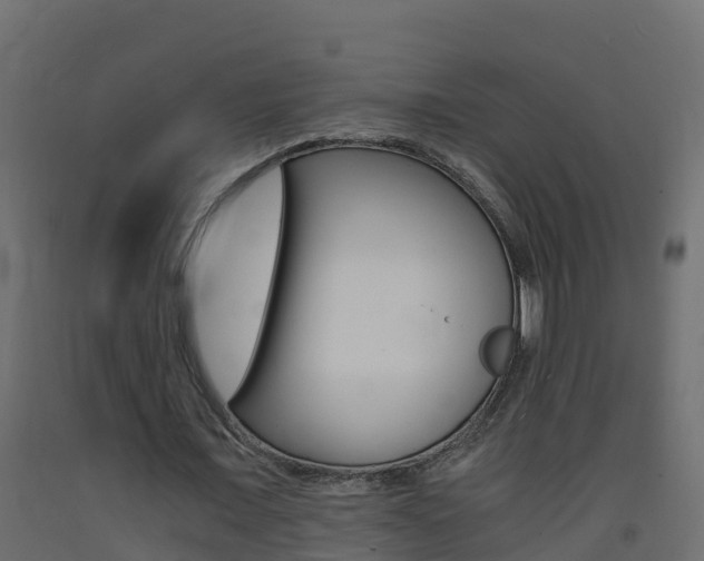 X0000093410675200710120916