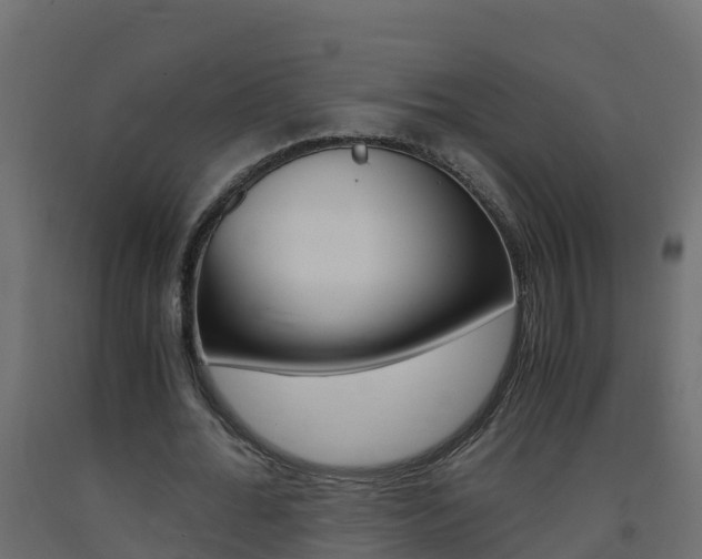 X0000093410676200710120916