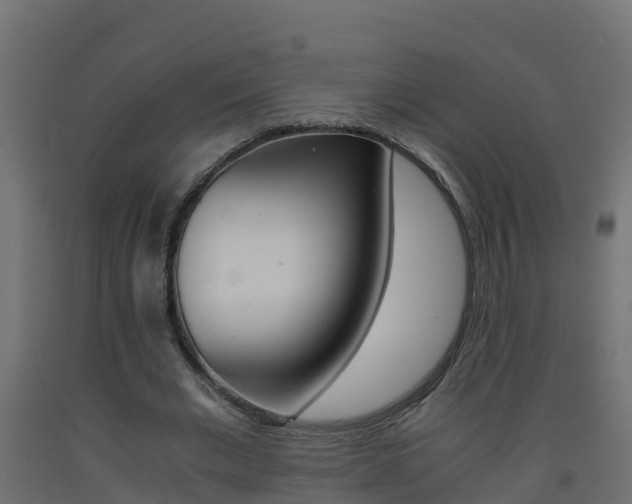 X0000093410677200710120916