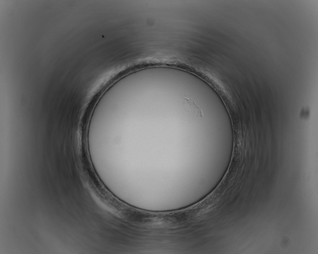 X0000093410678200710120916