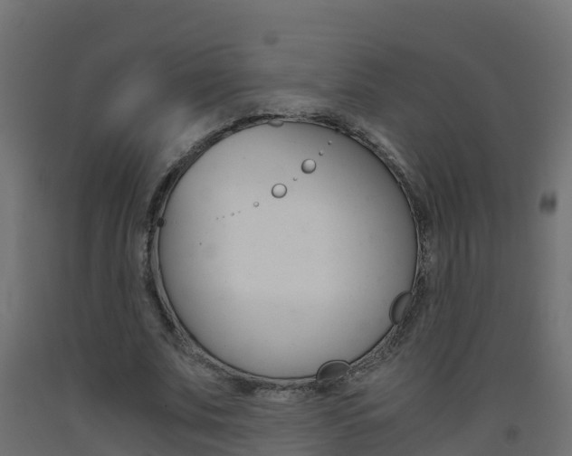 X0000093410679200710120916