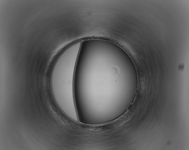X0000093410680200710120916
