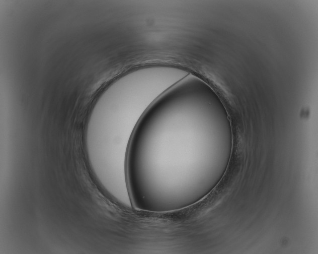 X0000093410681200710120916