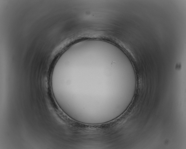 X0000093410682200710120916
