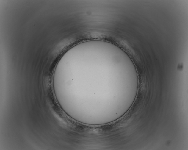 X0000093410683200710120916