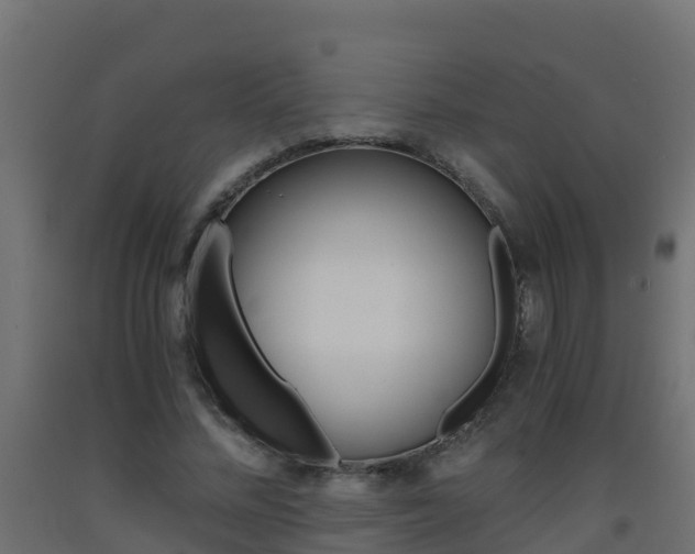 X0000093410684200710120916