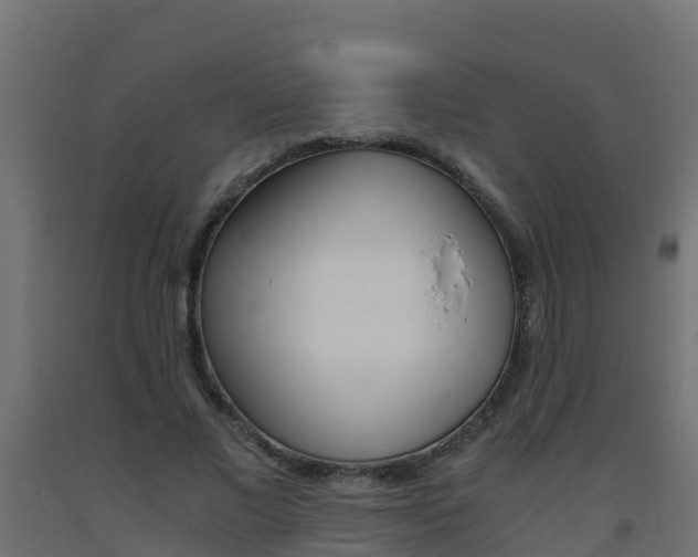 X0000093410685200710120916