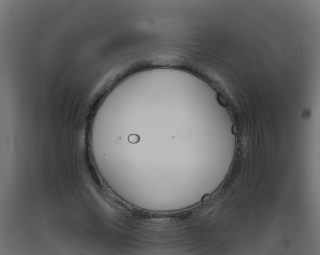 X0000093410686200710120916