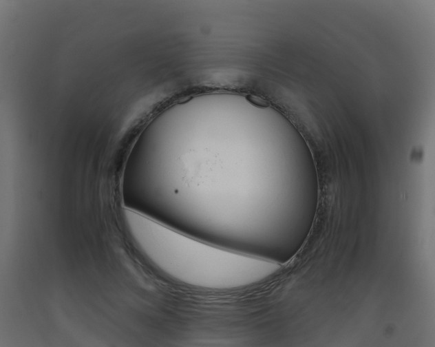 X0000093410688200710120916
