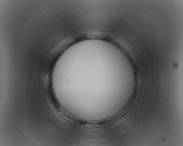 X0000093410690200710120916