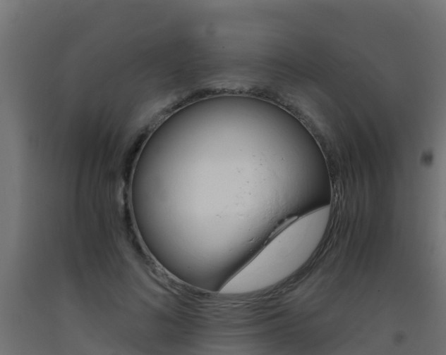 X0000093410692200710120916