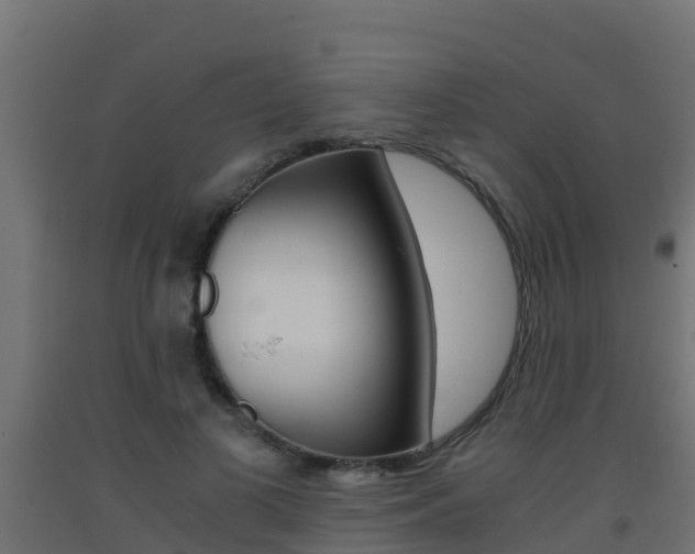 X0000093410693200710120916