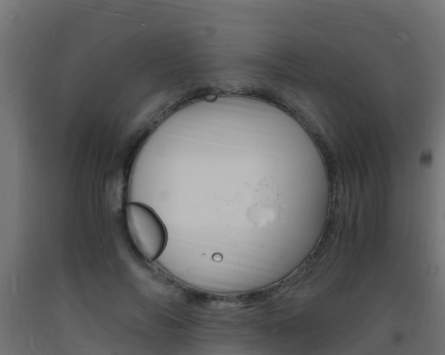 X0000093410694200710120916