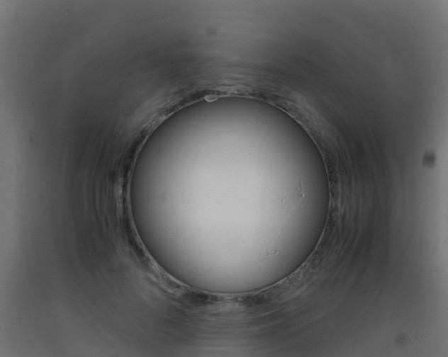 X0000093410696200710120916