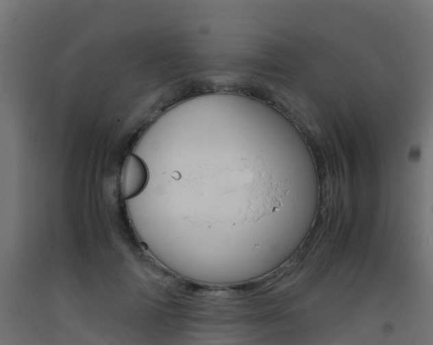 X0000093410698200710120916